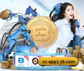 持续创新